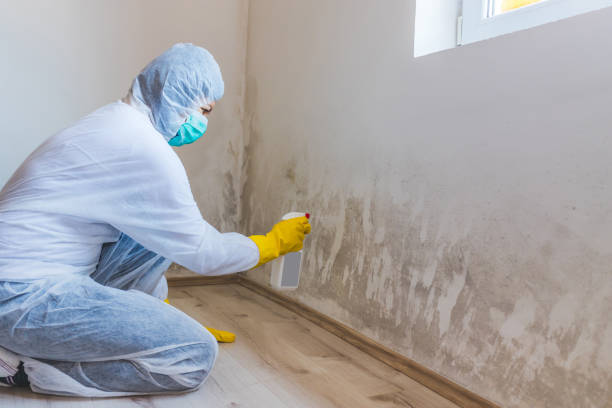 Hvac And Air Duct Mold Remediation inspection of HVAC system in Burkittsville